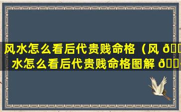 风水怎么看后代贵贱命格（风 🕊 水怎么看后代贵贱命格图解 🕷 ）